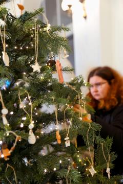 2024_12_02 Okrasevanje jelke-4